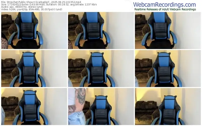 2025/08/25/stripchat-scarbadgirl_-10-13-52