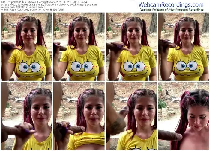 2025/08/26/stripchat-hotnightsexxx-19-00-13