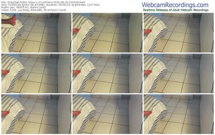 2025/08/26/stripchat-icrushyenu-22-24-28