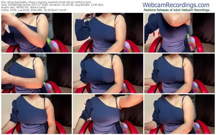 2025/08/26/stripchat-tigress_kashish-18-45-23