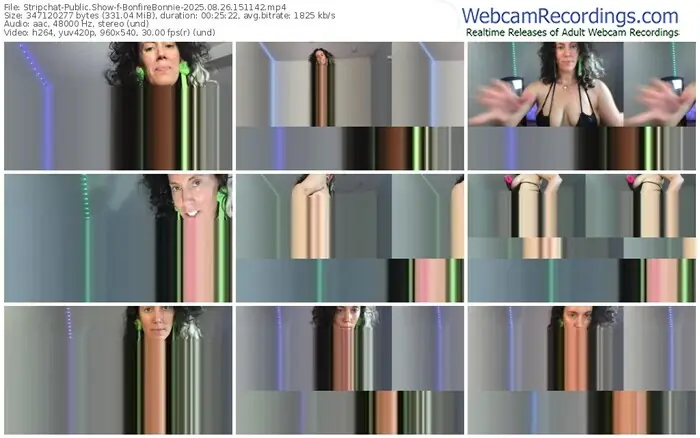 2025/08/26/stripchat-bonfirebonnie-15-11-42