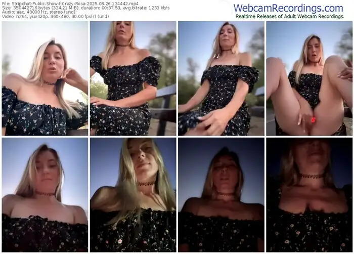 2025/08/26/stripchat-crazy-rosa-13-44-42