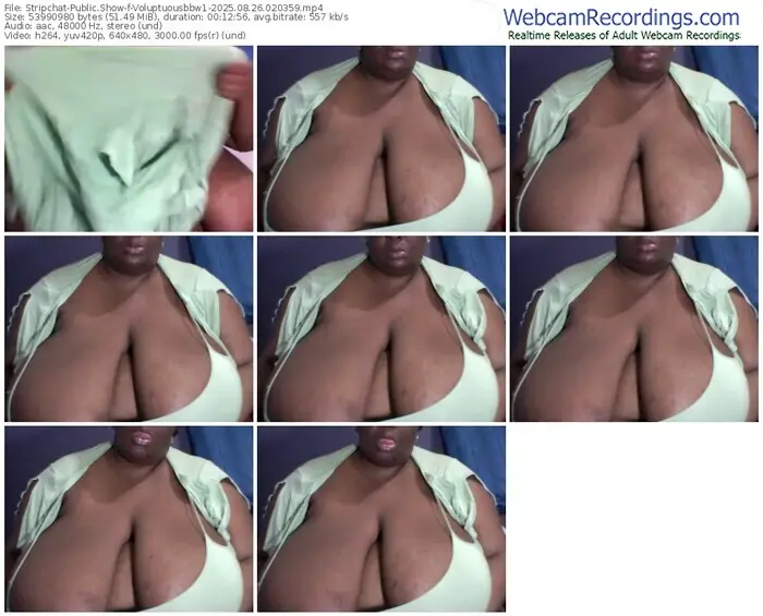 2025/08/26/stripchat-voluptuousbbw1-02-03-59