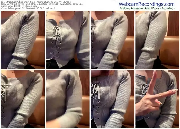 2025/08/26/stripchat-mei_hosina-17-44-26
