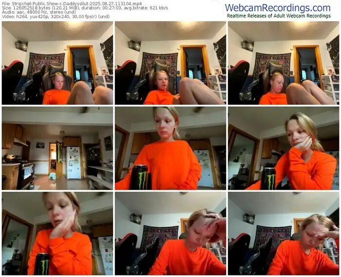 2025/08/27/stripchat-daddyssllut-11-31-04