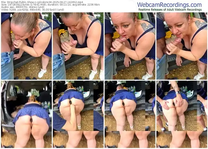 2025/08/27/stripchat-cplcokins34-14-26-52