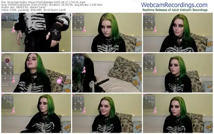 2025/08/27/stripchat-portiahedge-17-41-41