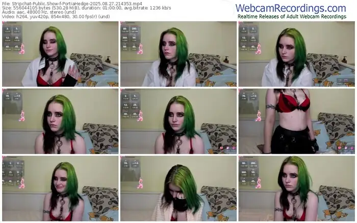 2025/08/27/stripchat-portiahedge-21-43-53