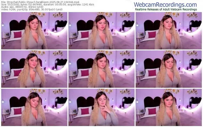 2025/08/27/stripchat-zarabloom-16-43-44