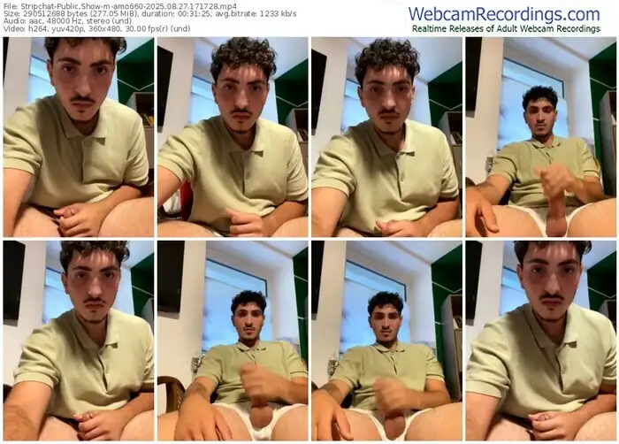 2025/08/27/stripchat-amo660-17-17-28