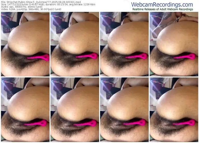 2025/08/28/stripchat-_dulcinea777-04-33-21