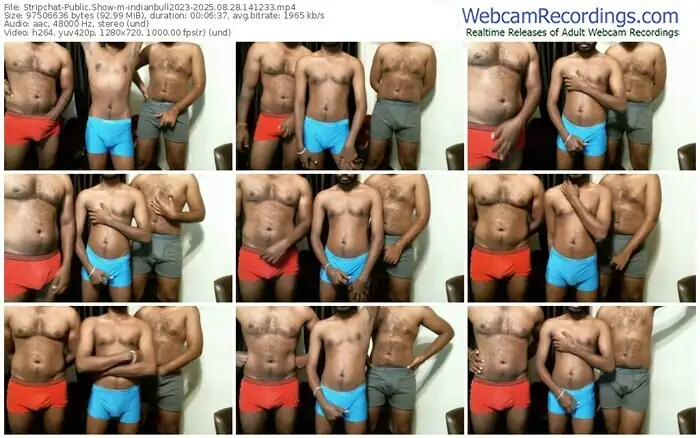 2025/08/28/stripchat-indianbull2023-14-12-33