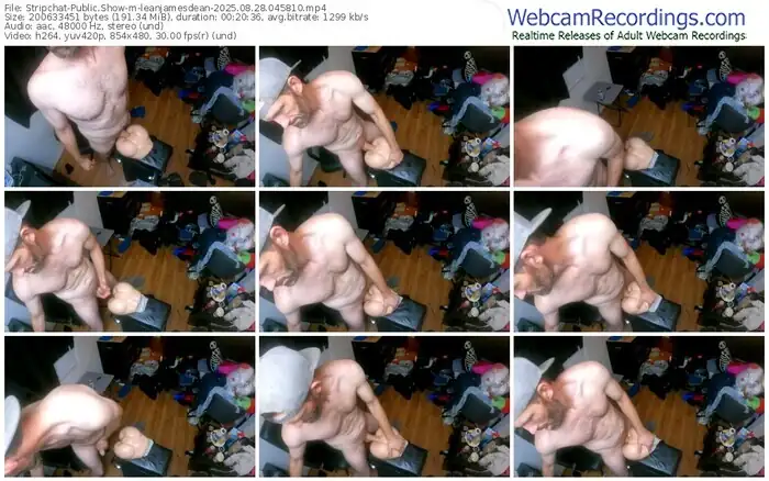 2025/08/28/stripchat-leanjamesdean-04-58-10