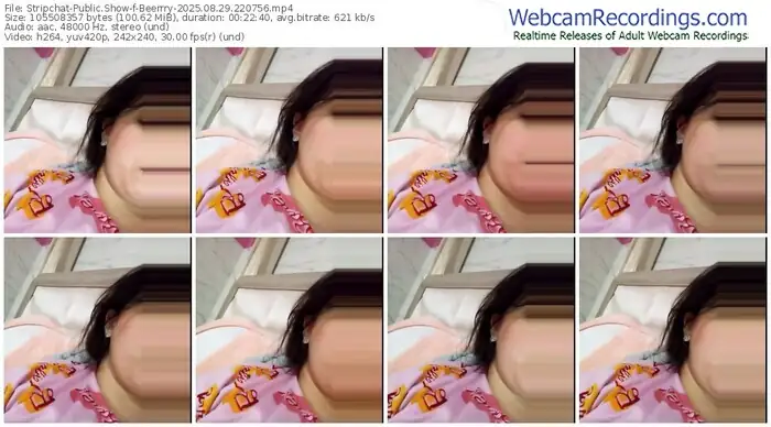 2025/08/29/stripchat-beerrry-22-07-56