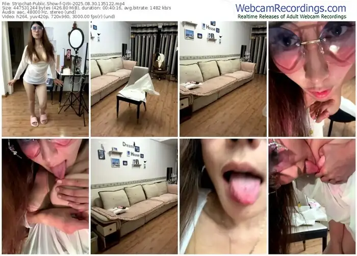 2025/08/30/stripchat-qi9i-13-51-22