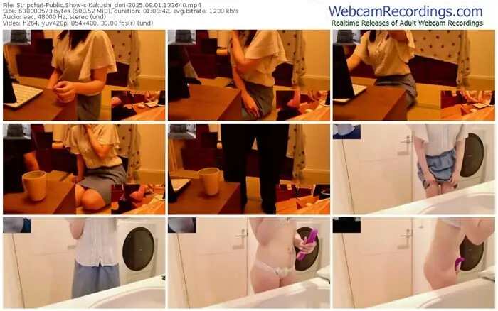 2025/09/01/stripchat-kakushi_dori-13-36-40