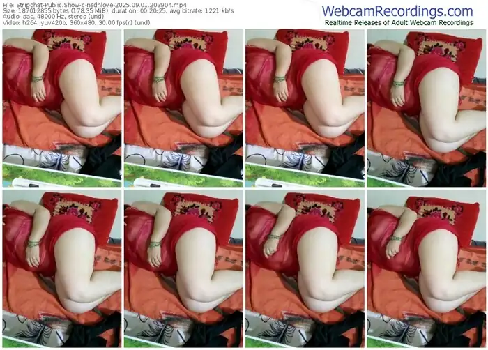 2025/09/01/stripchat-nsdhlove-20-39-04