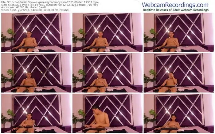 2025/09/04/stripchat-genesisyharmanyasm-11-13-57