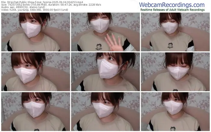 2025/09/04/stripchat-mei_hosina-00-42-53