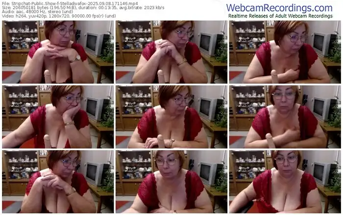 2025/09/08/stripchat-stelladivafox-17-11-46
