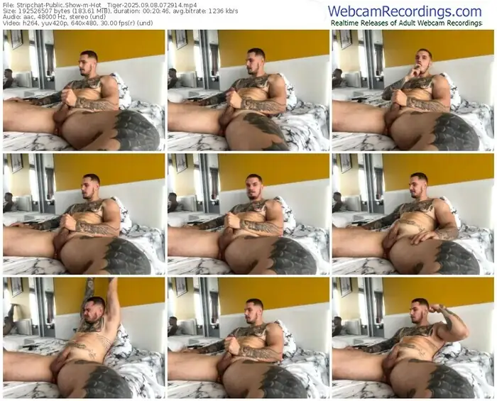 2025/09/08/stripchat-hot__tiger-07-29-14