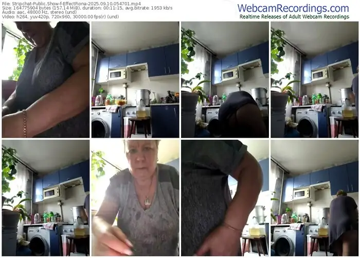 2025/09/10/stripchat-effectfiona-05-47-01