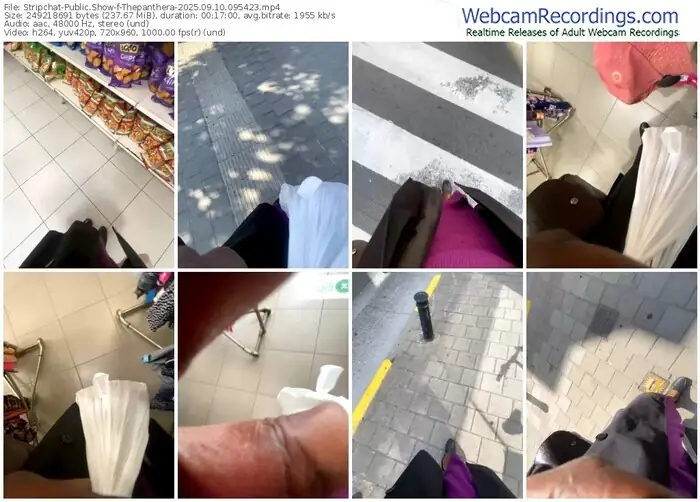 2025/09/10/stripchat-thepanthera-09-54-23