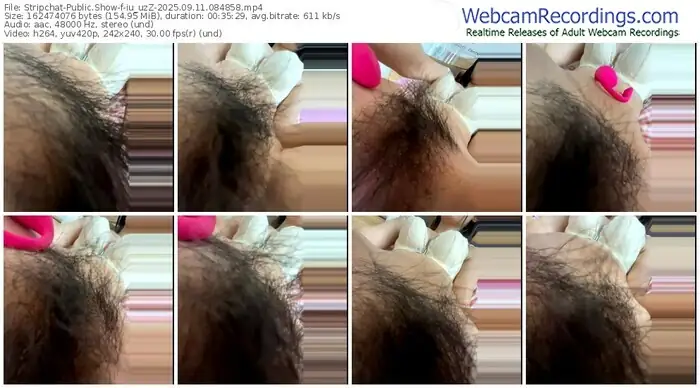 2025/09/11/stripchat-iu_uzz-08-48-58
