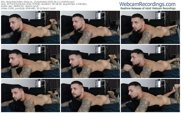2025/09/11/stripchat-_dylangreen-10-09-35