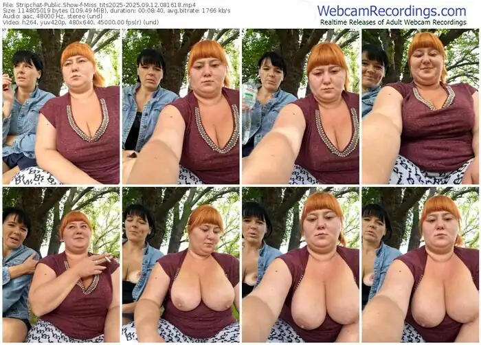 2025/09/12/stripchat-miss_tits2025-08-16-18