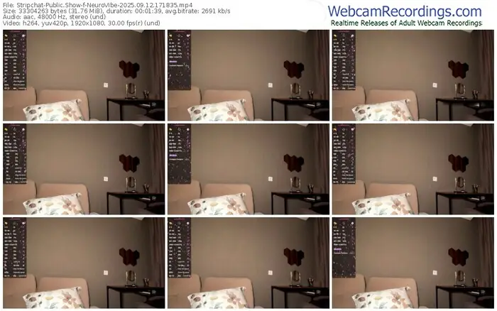 2025/09/12/stripchat-neurovibe-17-18-35