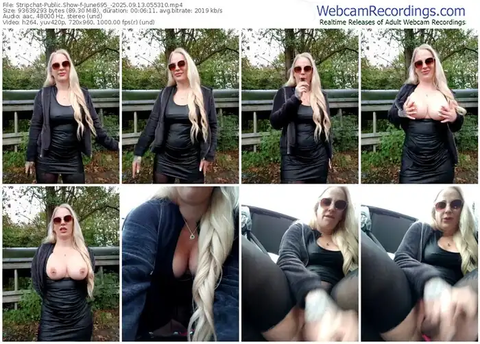 2025/09/13/stripchat-june695_-05-53-10