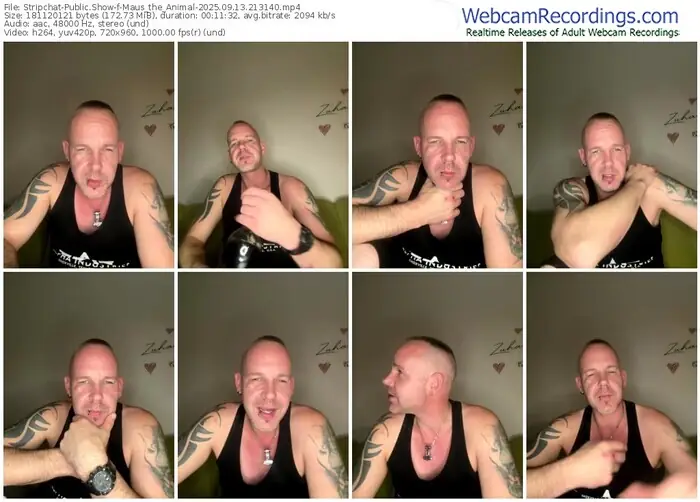 2025/09/13/stripchat-maus_the_animal-21-31-40