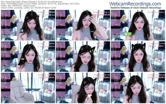 2025/09/13/stripchat-sheep-1-01-35-18