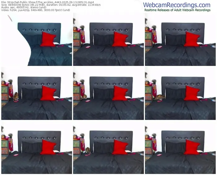 2025/09/13/stripchat-the_wickles_4443-08-51-31