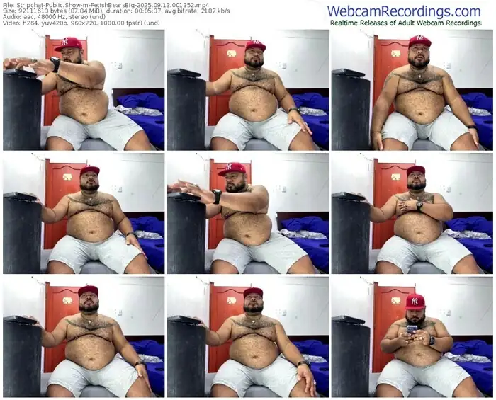 2025/09/13/stripchat-fetishbearsbig-00-13-52