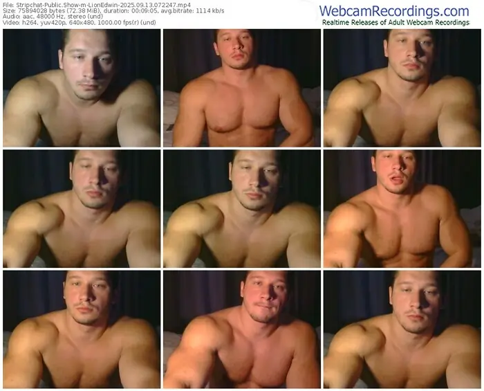 2025/09/13/stripchat-lionedwin-07-22-47
