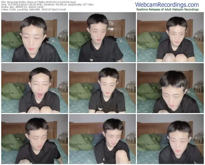 2025/09/13/stripchat-t998s-10-47-04