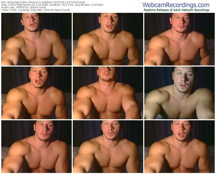 2025/09/14/stripchat-lionedwin-07-33-25