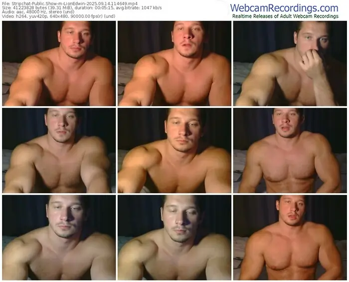 2025/09/14/stripchat-lionedwin-11-46-49