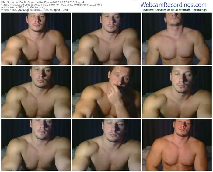 2025/09/15/stripchat-lionedwin-10-15-22