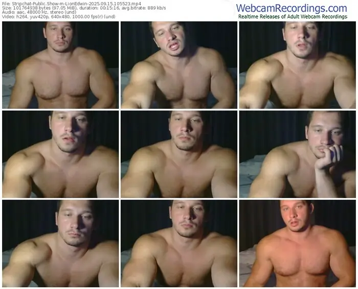 2025/09/15/stripchat-lionedwin-10-55-23