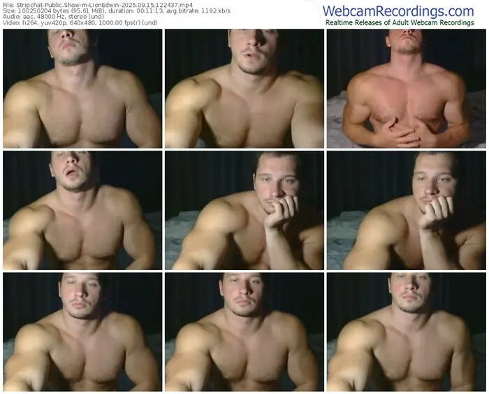 2025/09/15/stripchat-lionedwin-12-24-37