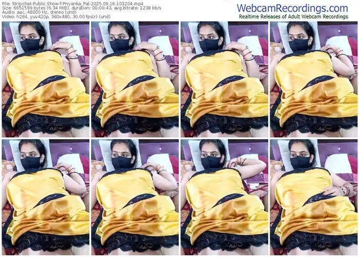2025/09/16/stripchat-priyanka_pal-10-32-04