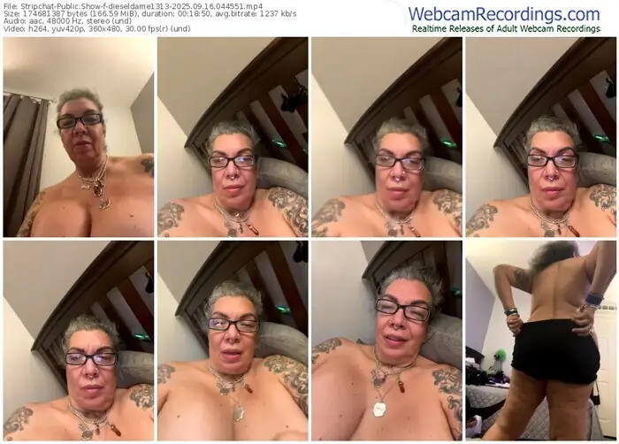2025/09/16/stripchat-dieseldame1313-04-45-51