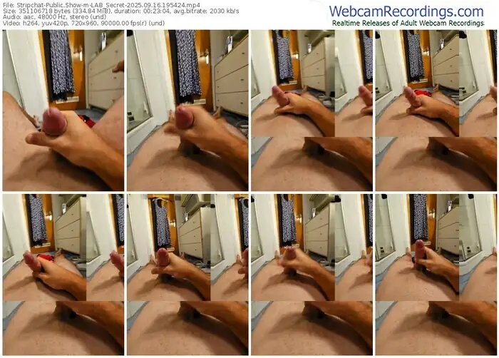 2025/09/16/stripchat-lab_secret-19-54-24