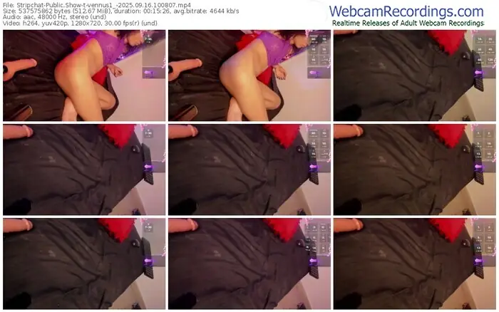 2025/09/16/stripchat-vennus1_-10-08-07