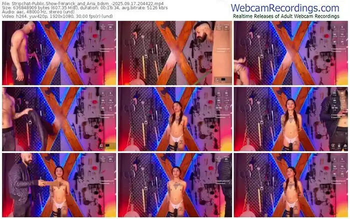 2025/09/17/stripchat-warick_and_aria_bdsm_-20-44-22