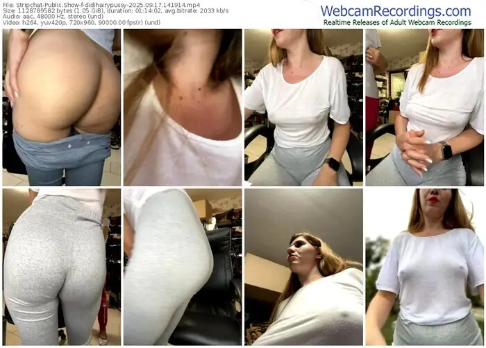 2025/09/17/stripchat-didihairypussy-14-19-14