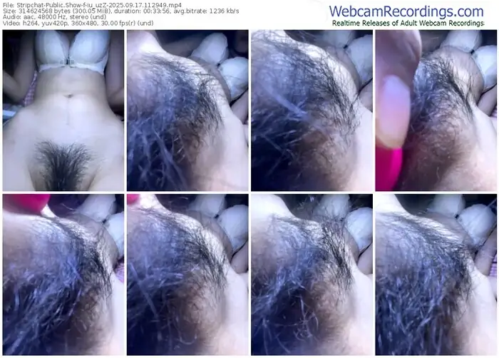 2025/09/17/stripchat-iu_uzz-11-29-49